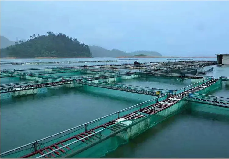 PE Anti-Storm Trout Fish Aquaculture Circular-shape Floating HDPE Fish-farming Cages in Deep Sea