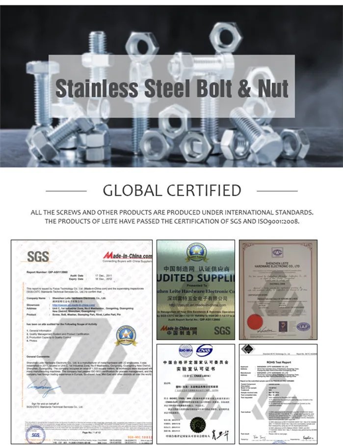 Custom Fastener Stainless Steel Anchor Bolt with Washer and Nuts