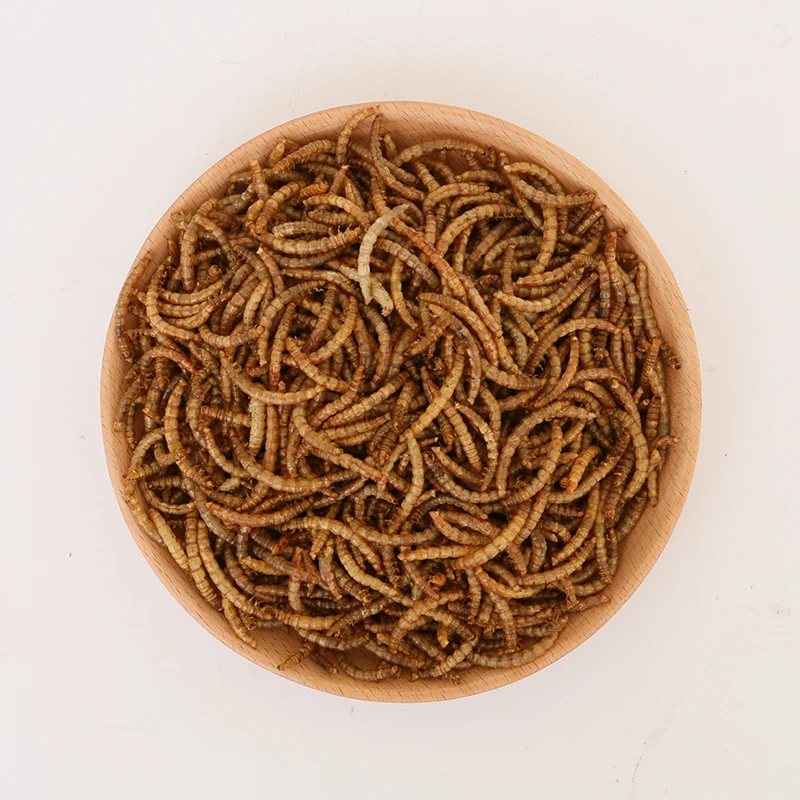 Wholesale Dry Bulk Frozen Top High Protein Dry Mealworms