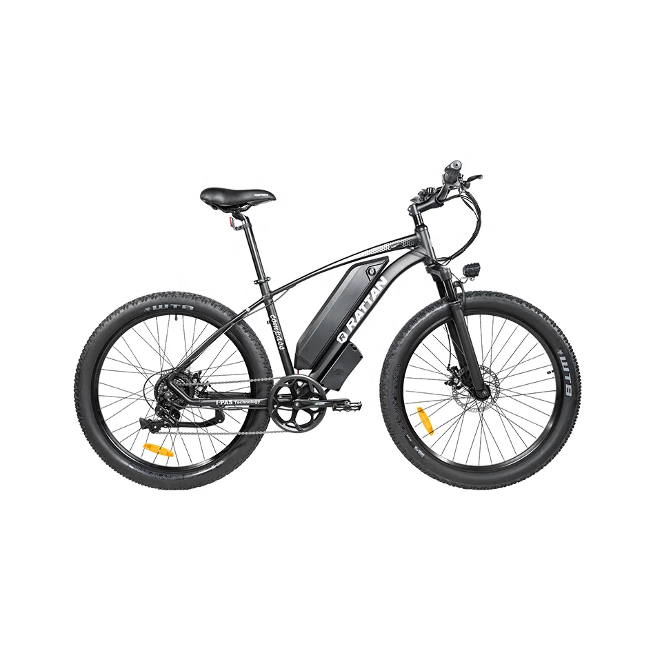 Rattan 2022 New Version New Design MTB 500W Brushless Motor E-bike Mountainbike