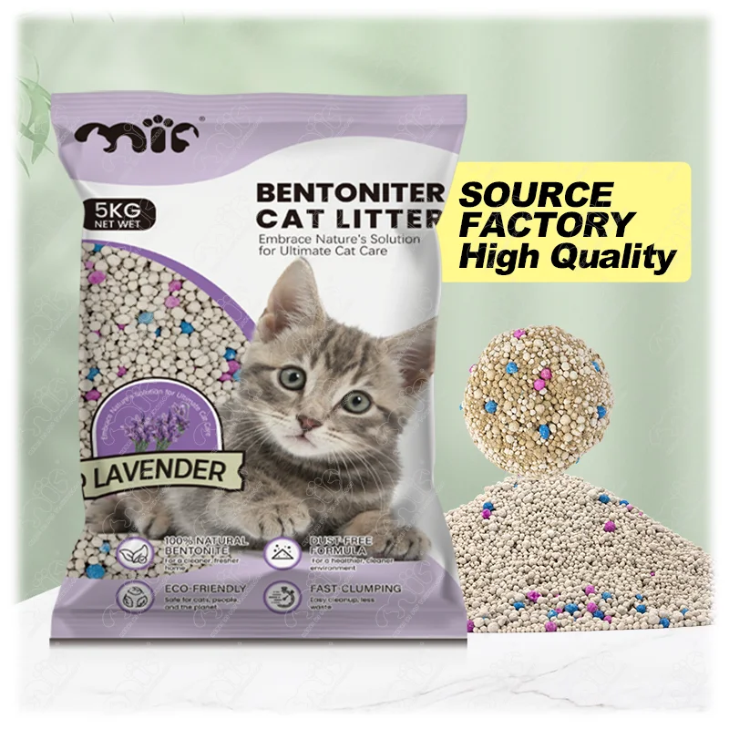 BSCI Factory Low Tracking Clumping Dust Free Activated Charcoal Arena Para Gatos Bentonite Cat Litter