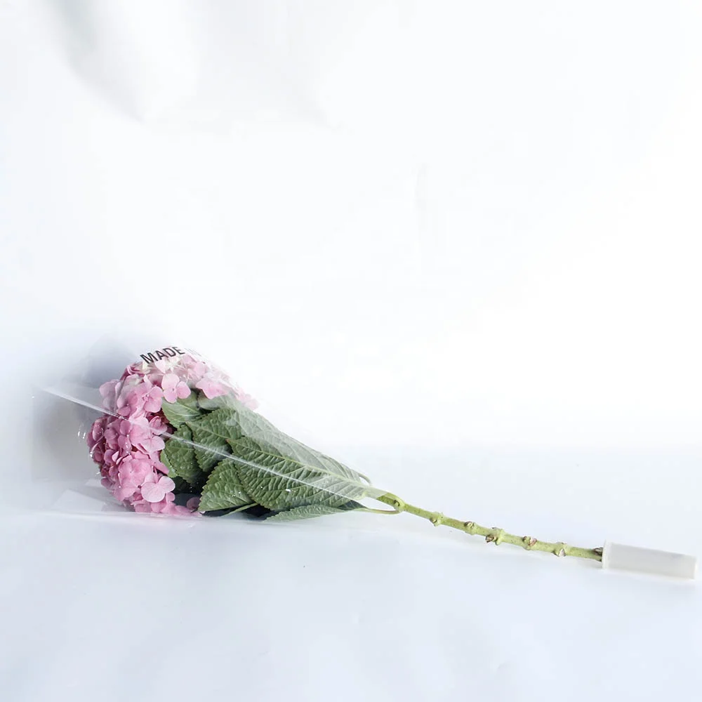 New Arrival Fresh Cut Flowers Hydrangea From Kunming Dounan for Wreath Decoration Ornamental Plants