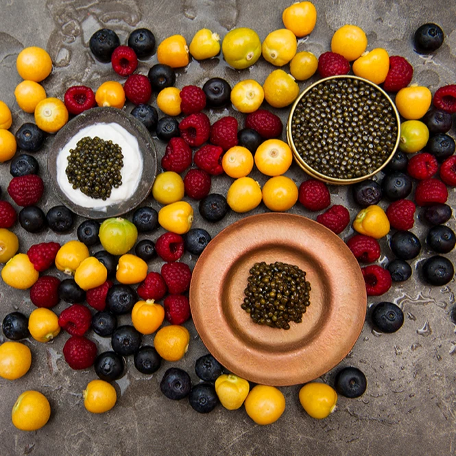 Hot sale delicious KalugaQueen High Grade Hybrid black caviar sturgeon