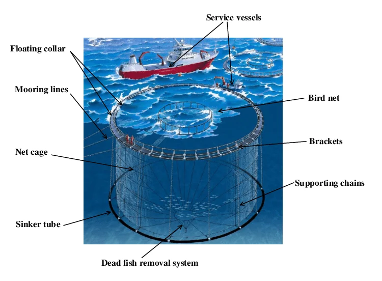 HDPE Floating Fish Cage Tropical Offshore Deep Sea Circular Aquaculture Cage
