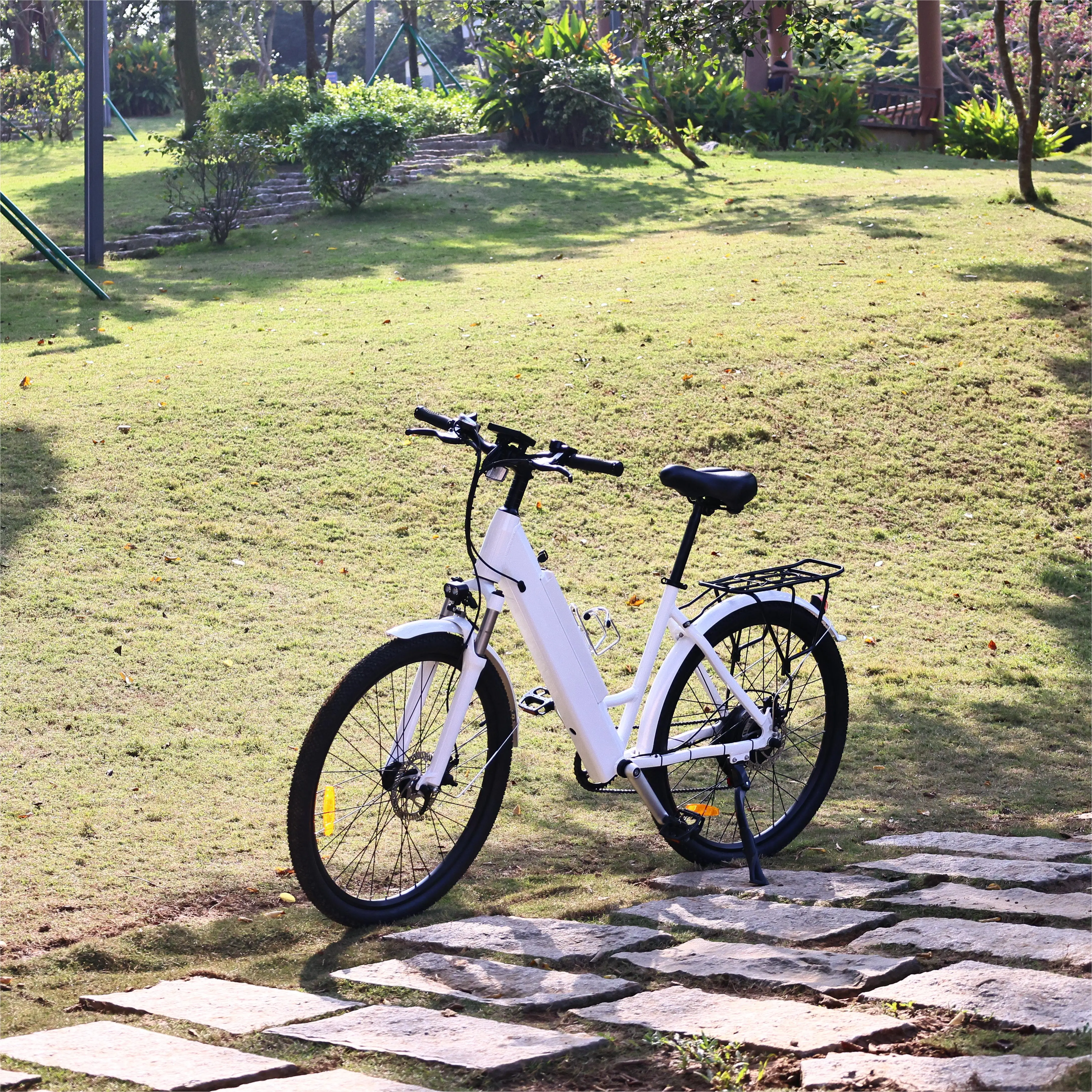 smart motor electric bike Torque basic PAS sensors pedal assistance 30-200 NM electric bike pedal assistant