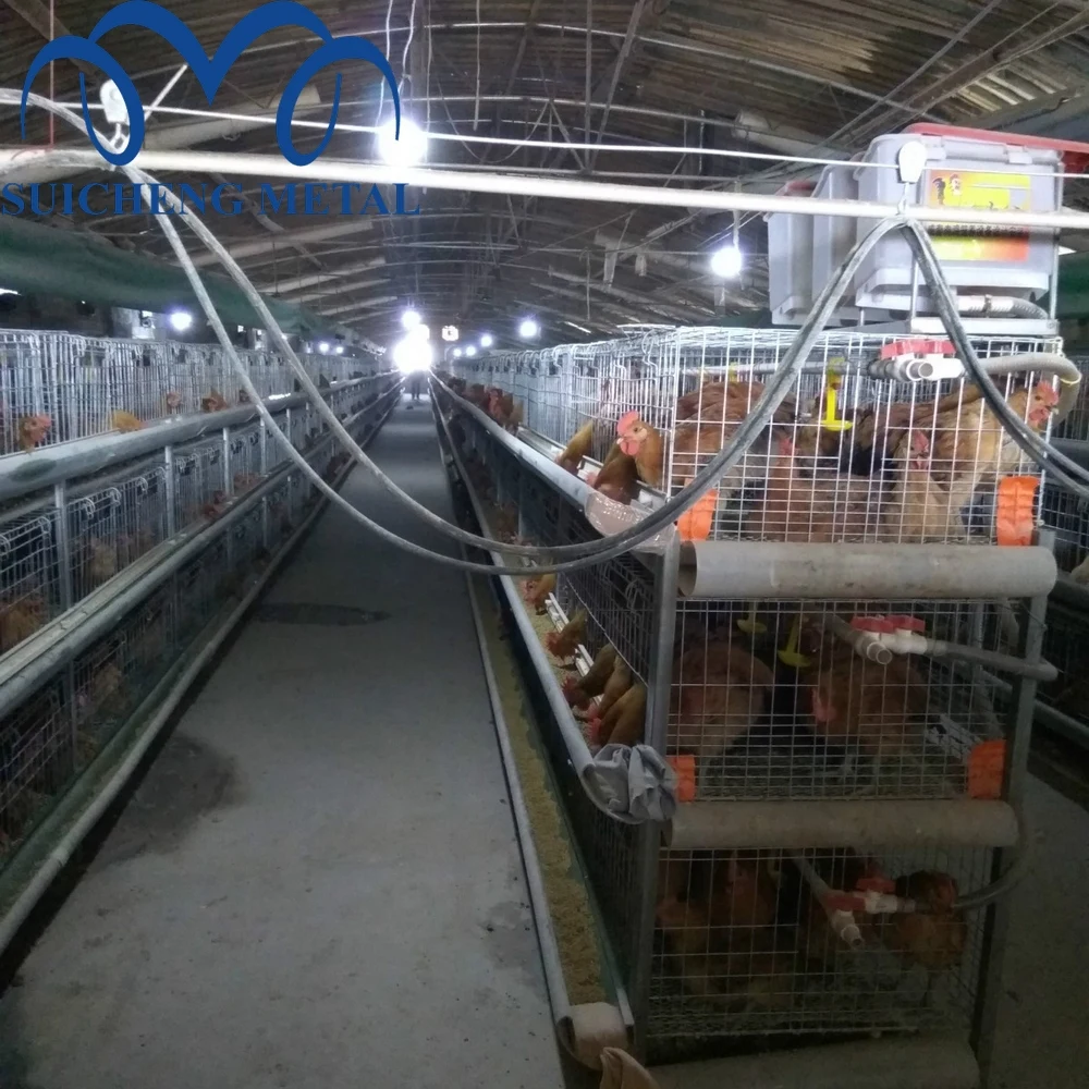 2024 Guangzhou Factory 48 birds capacity Galvanized broiler chicken cages