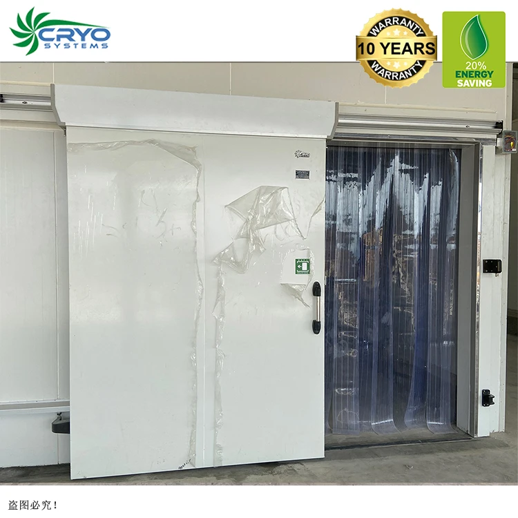 fish squid chicken cold storage seafood cold storage blast freezer