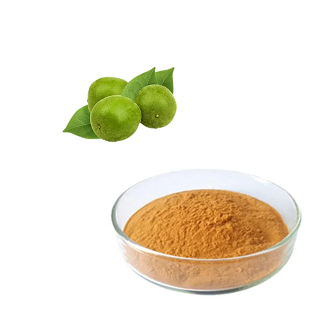 Natural Monk Fruit Extract  Mogroside V Luo Han Guo Extract  88901-36-4 in Bulk