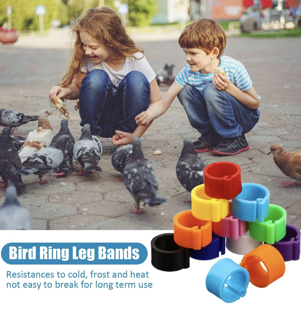 100 pieces 8 mm numbered bird rings leg bands multicolor racing pigeon foot ring for pigeon parrot finch canary hatch poultry