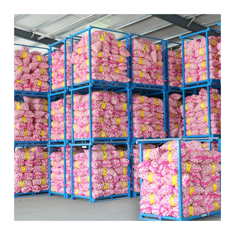 hot sale 5cm fresh white garlic wholesale good price 2024 newest crop normal white garlic export with GLOBAL GAP