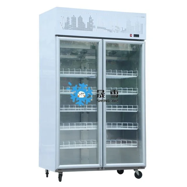 Single-Temperature Vertical Freezer with Glass Door Hypermarket Supermarket Cool Refrigerator for Displaying Frozen Chicken