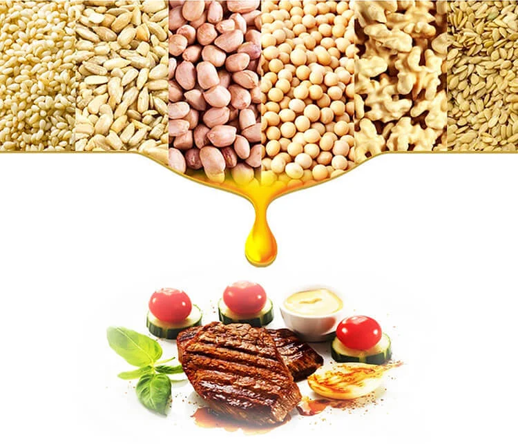 screw oil press 6YL-80 for oil making