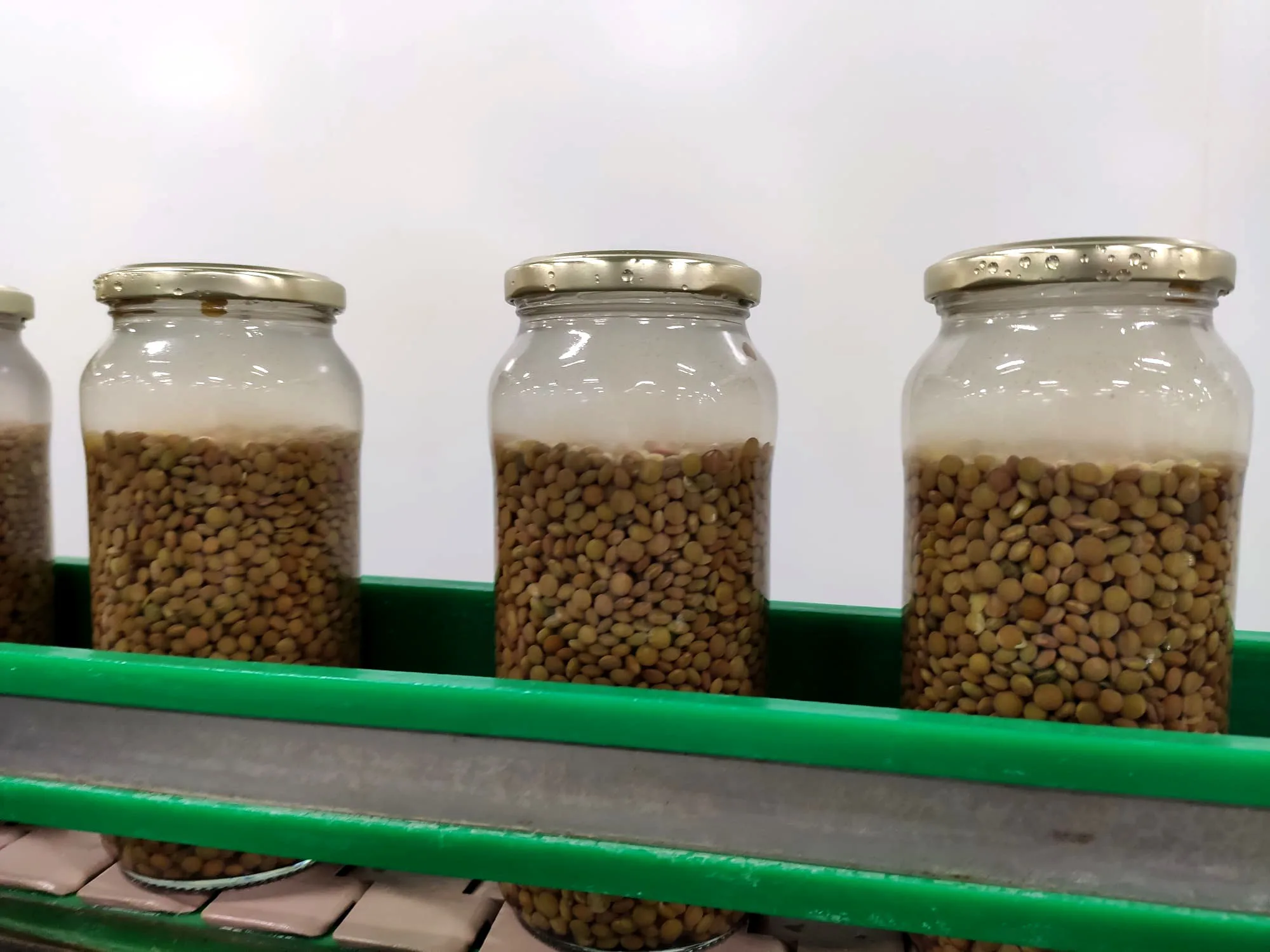 Excellent Wholesale Canned Organic Cooked Yellow Whole Lentils Food Goods For Supermarket And Horeca With Natural Flavours