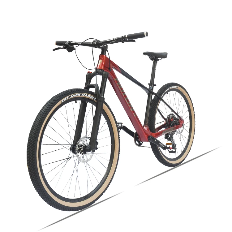 HULDA12 speed 29 inch carbon fiber mountain bike disc brake internal wiring imported transmission off-road mountain bike