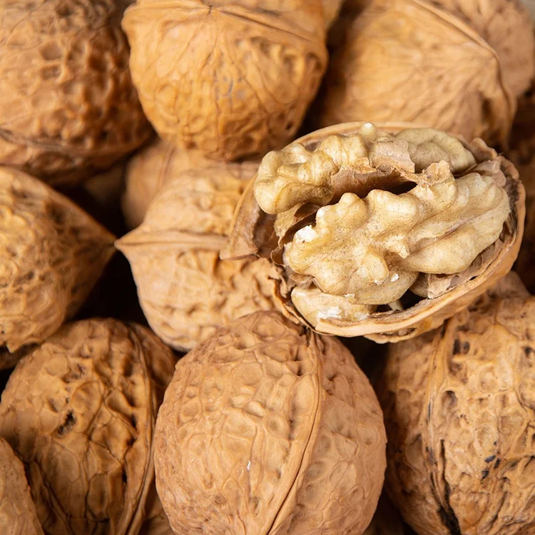 
Organic Cultivation shelled chinese-walnut inshell Yunnan thin-skinned walnut 
