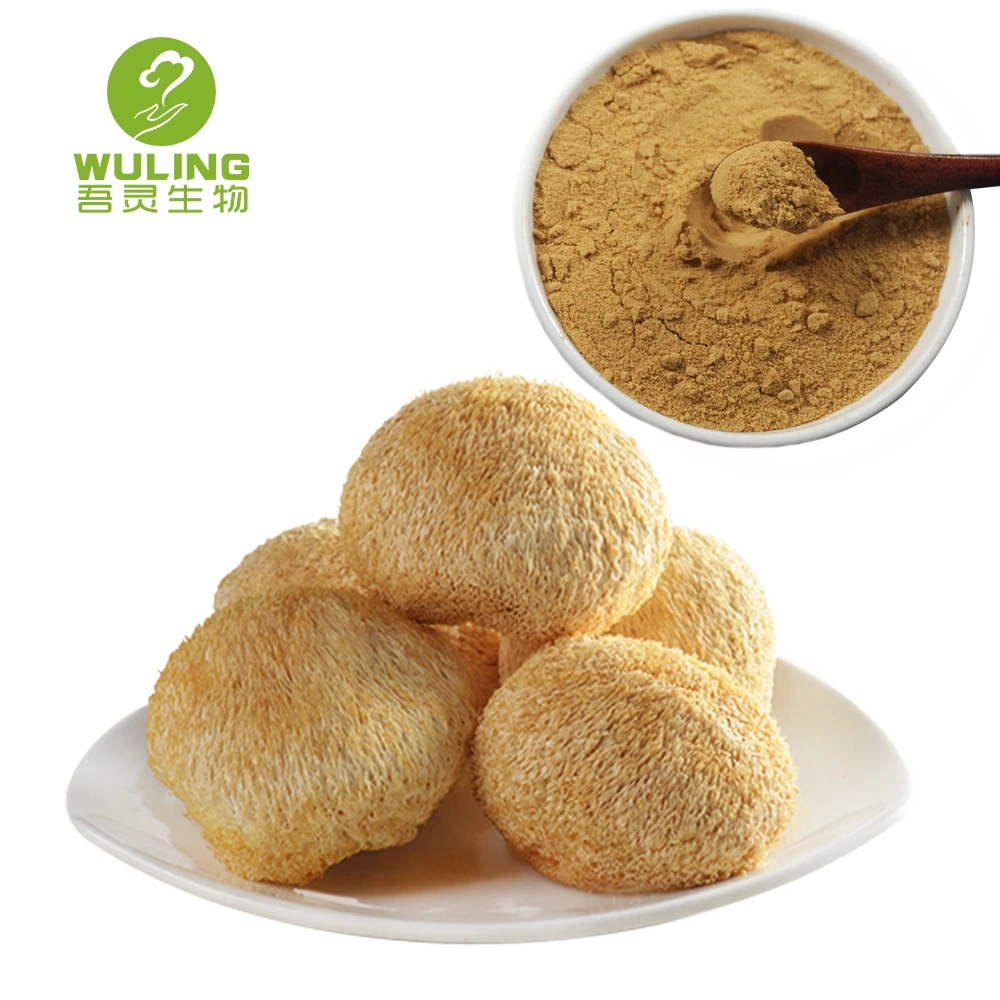 Травяные добавки, экстракт грибов Львиной гривы, порошок, Органическая жидкость грибов Львиной гривы