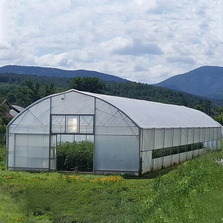 Galvanized Steel Frame for Agriculture Low cost Tunnel Greenhouse for Outdoor Flowers Plant PE Film Greenhouse
