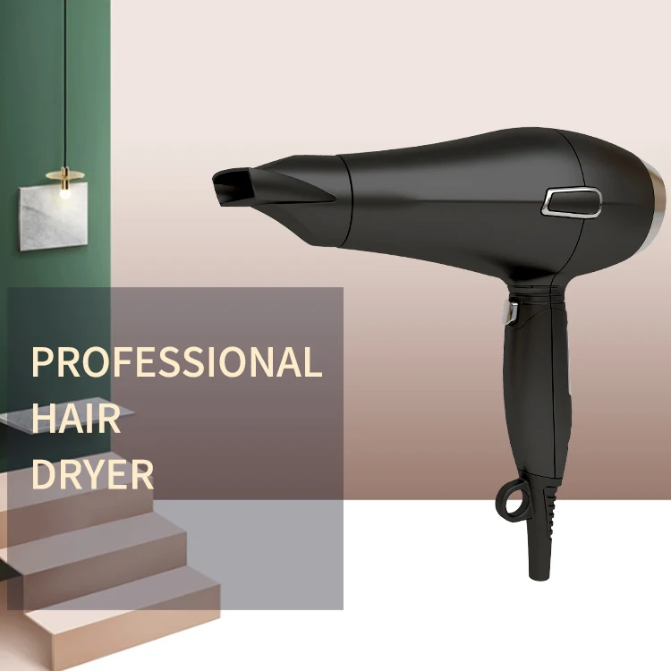 Professional removable filter  Hair Dryer with high  temperature resistant  of EPS6610