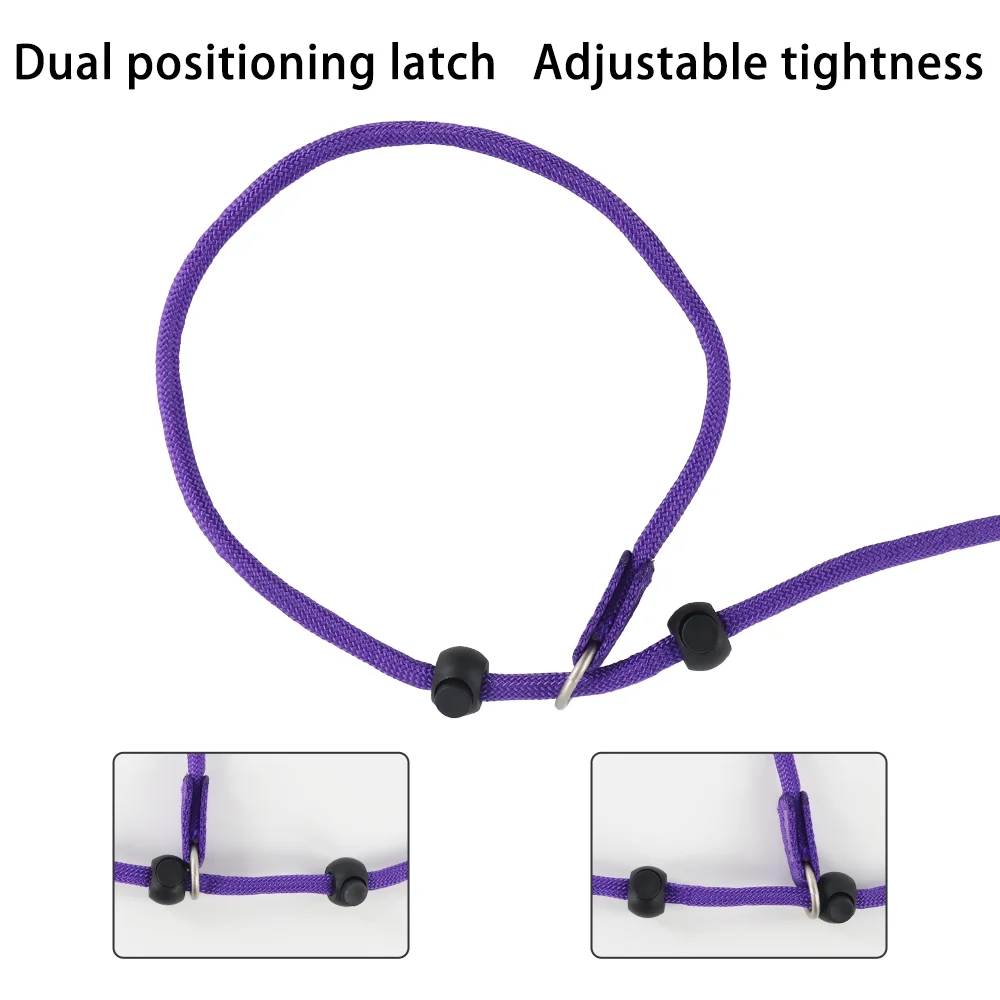 Medium Large Dogs No Pull Training Rope Dog Collar Leash Anti-Choking Slip Lead Functional Slip Lead Nylon Rope Style for Dog