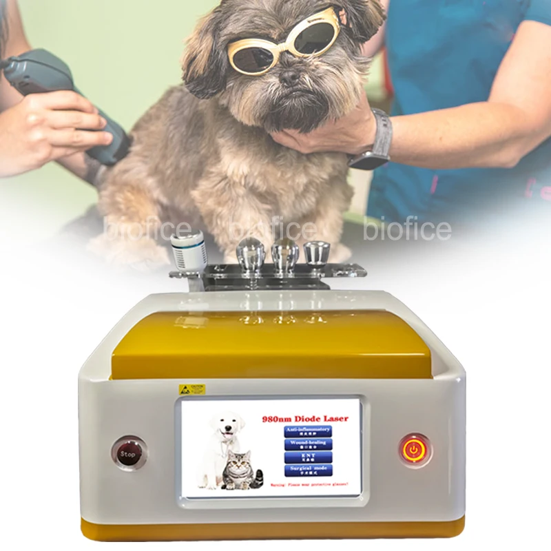 Veterinary physiotherapy equipment for dog/cat/horse/pet animal wound healing 980nm
