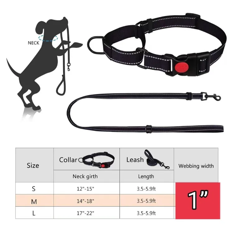 Heavy Duty OEM Popular Adjustable Durable Polyester Pet Accessories Dog Collar Leash Set For Medium Large Dogs