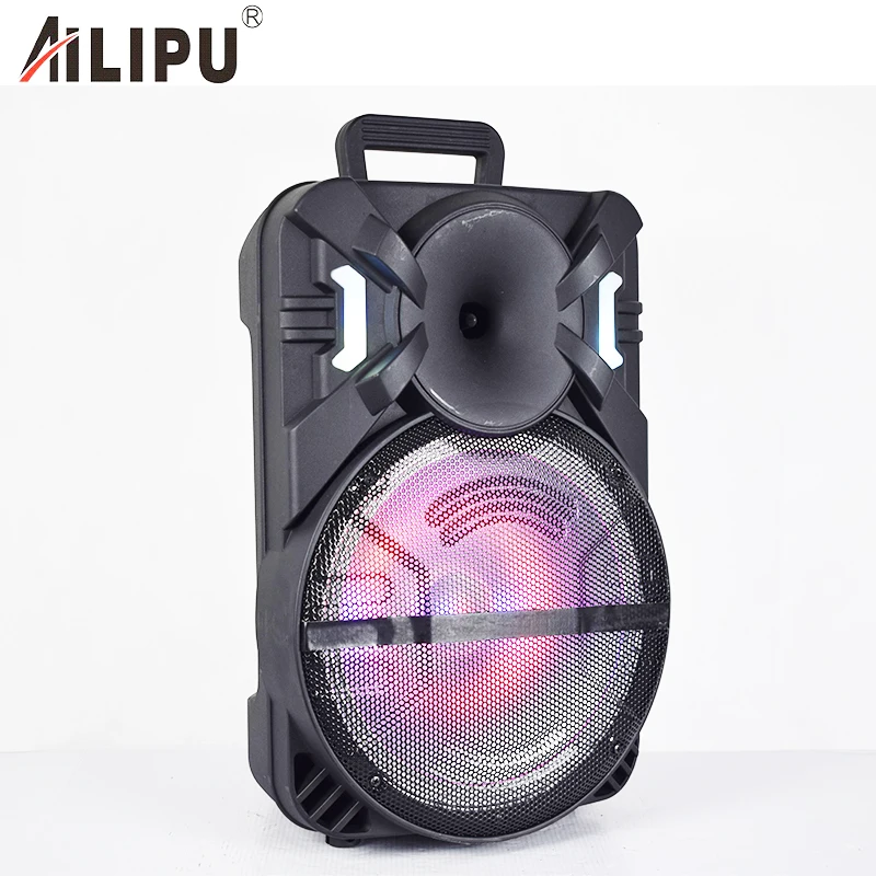 Top Quality 12 Inch Private Mode 20W Rechargeable Trolley Speaker Music Player for Stage