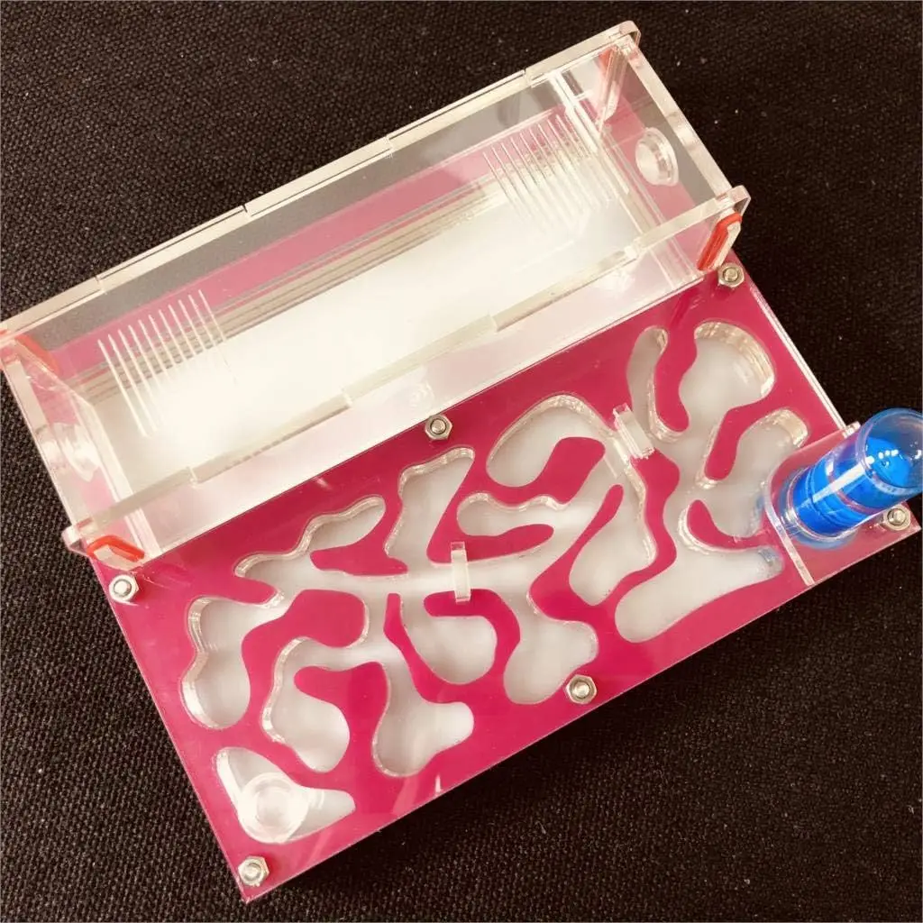 Hot selling small acrylic ant breeding box ant rest house nest ant for display only