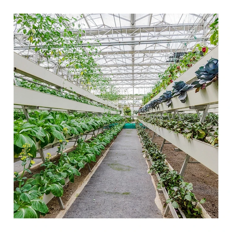 
Good price commercial hot galvanized steel frame hydroponic systems greenhouse 