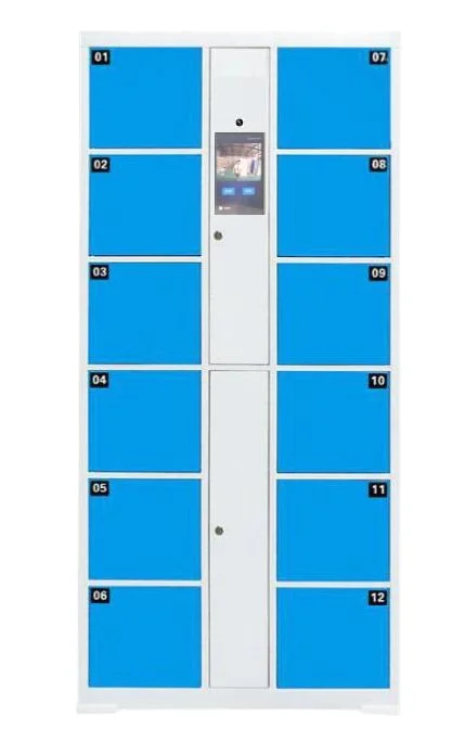 Stand-alone Smart 4 Inch Screen Electronic Card Swipe Parcel Storage Locker For Supermarket Locker