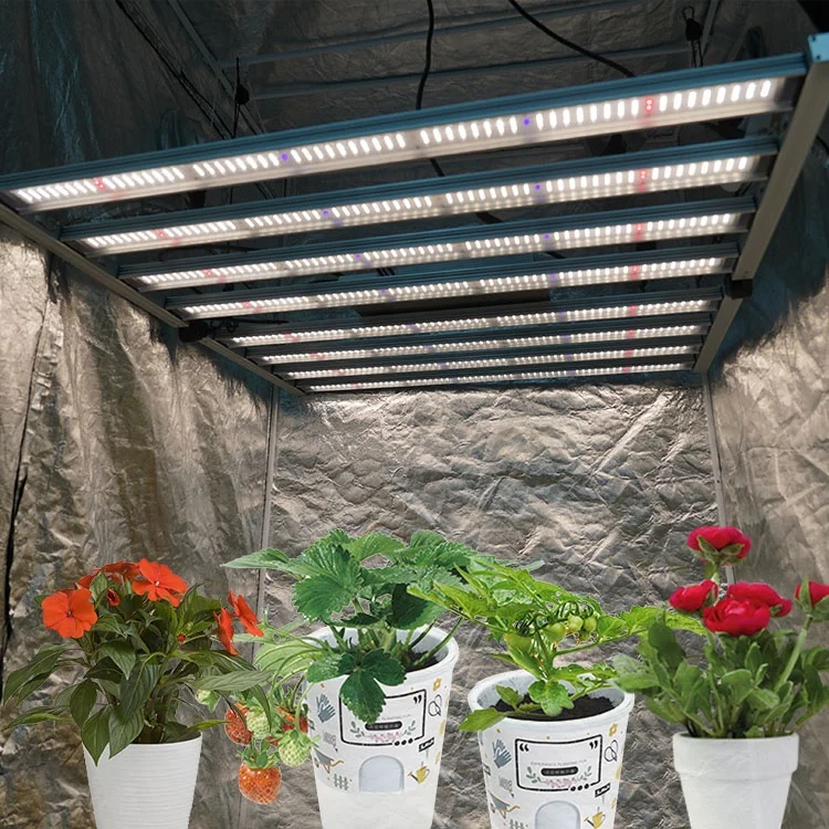 Commercial Led Grow Light, Meijiu Samsung LM301B/H Uv Ir Cost-effective Vertical Farm Indoor Medical Plants Veg Bloom Led Light/