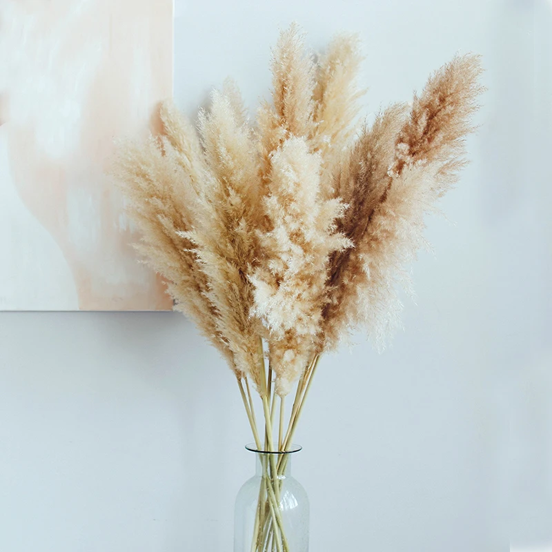 Hot selling  Natural white/pink Large Pampas Grass decorative pampas grass wedding decorations dried flower