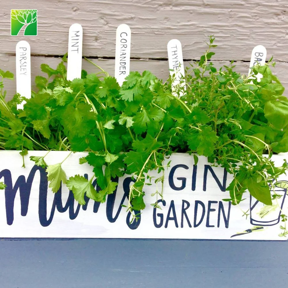 Plant farm direct sale exclusive 5 varieties herb seeds personalised garden kit