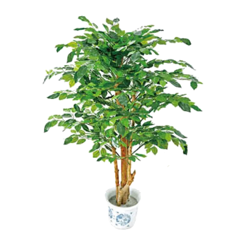 Wholesale bonsai tree live ficus tree artificial bonsai banyan tree