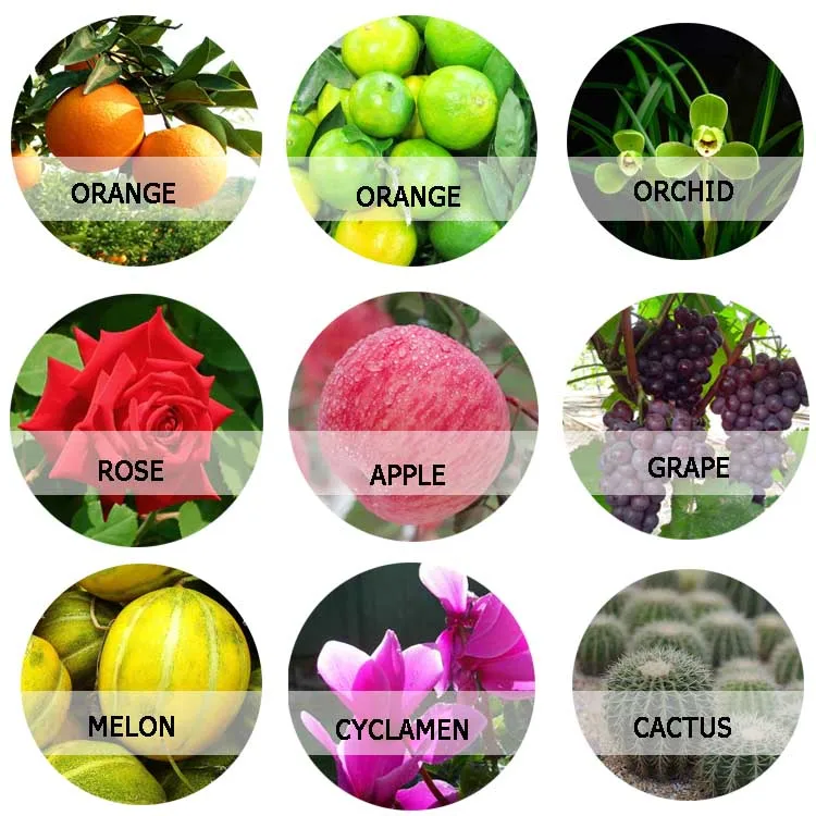 Cas 6025-53-2 транс-zeatin riboside, растительный гормон zeatin 98% tc