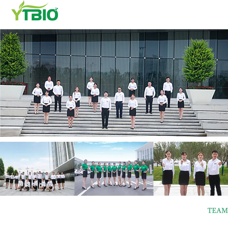  YTBIO 95% Кверцетин Порошок CAS