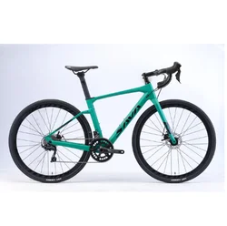 2022 China factory SAVA popular 700C 18Speed carbon fiber frame hydraulic disc brake road bike bicicleta bike gravel bik