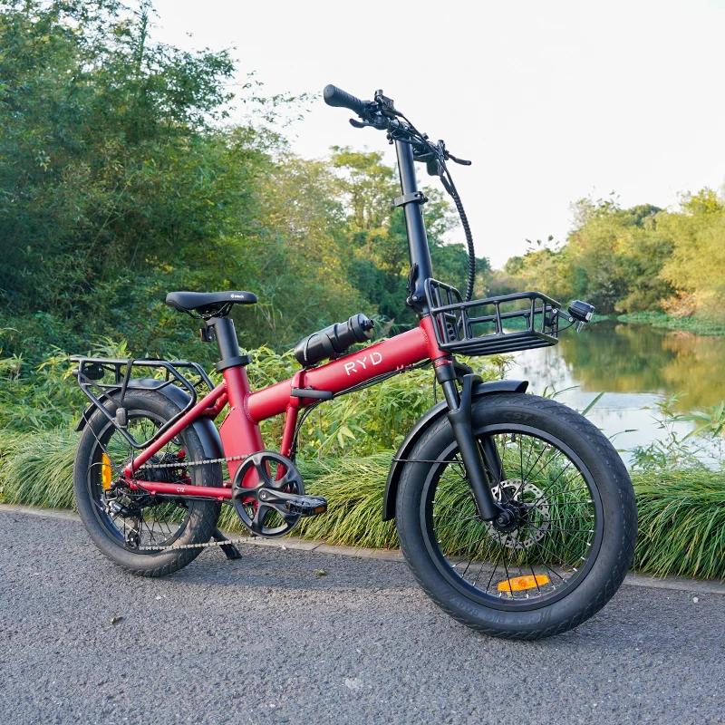 36V 350W motor Lithium Battery 20 inch city electric bike foldable fat tire ebike folding e bike