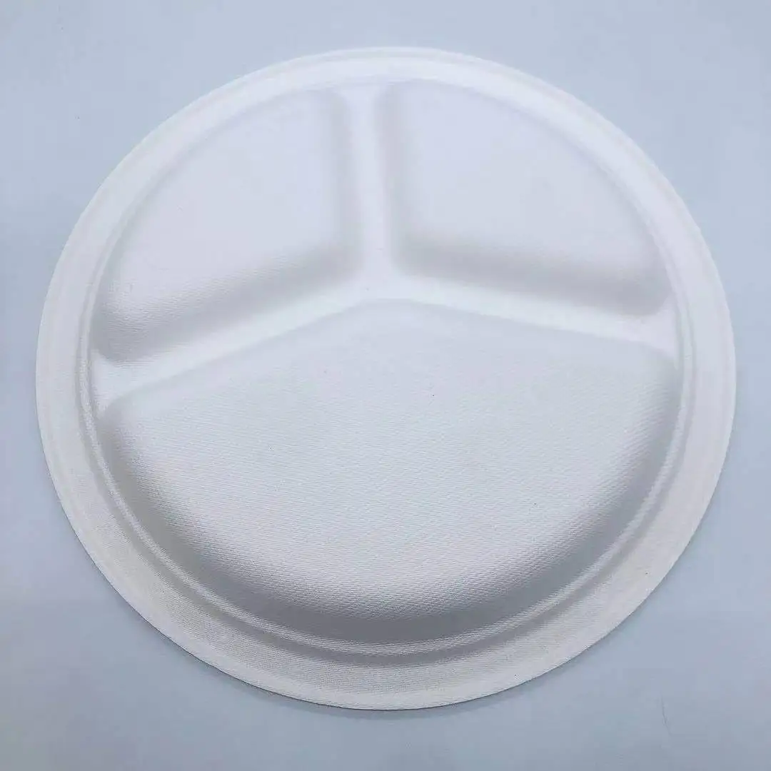 Disposable 9 Inch Heavy-Duty Plates White 9 Disposable Biodegradable Sugarcane Compostable Paper Plates Pulps Bagasse Plate