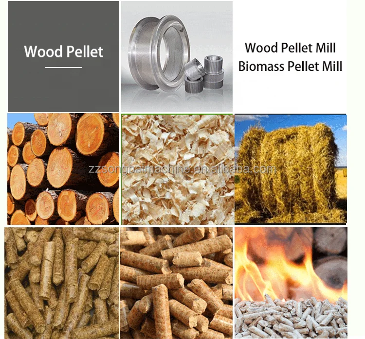 Peletizadora Rice Husk Wood Pellet Machine Biomass Fuel Wood Sawdust Straw Pellet Making Machine