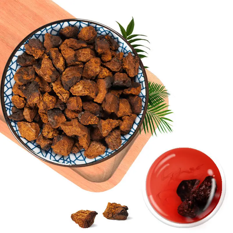 Wholesale Wild whole chaga High Quality Dried Chaga Mushroom for chaga extract