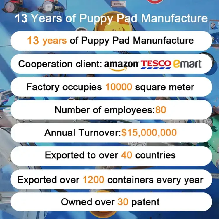 Direct Factory puppy training pad pet training products dog pee p free sample toilet sheet dog pee pad