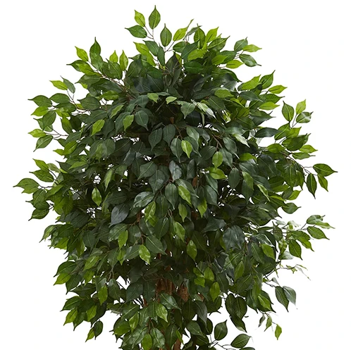 CR Indoor Outdoor Hanging Green Potted Wholesale Home Decor Natural Nearly Artificial Plant Tree With Pots