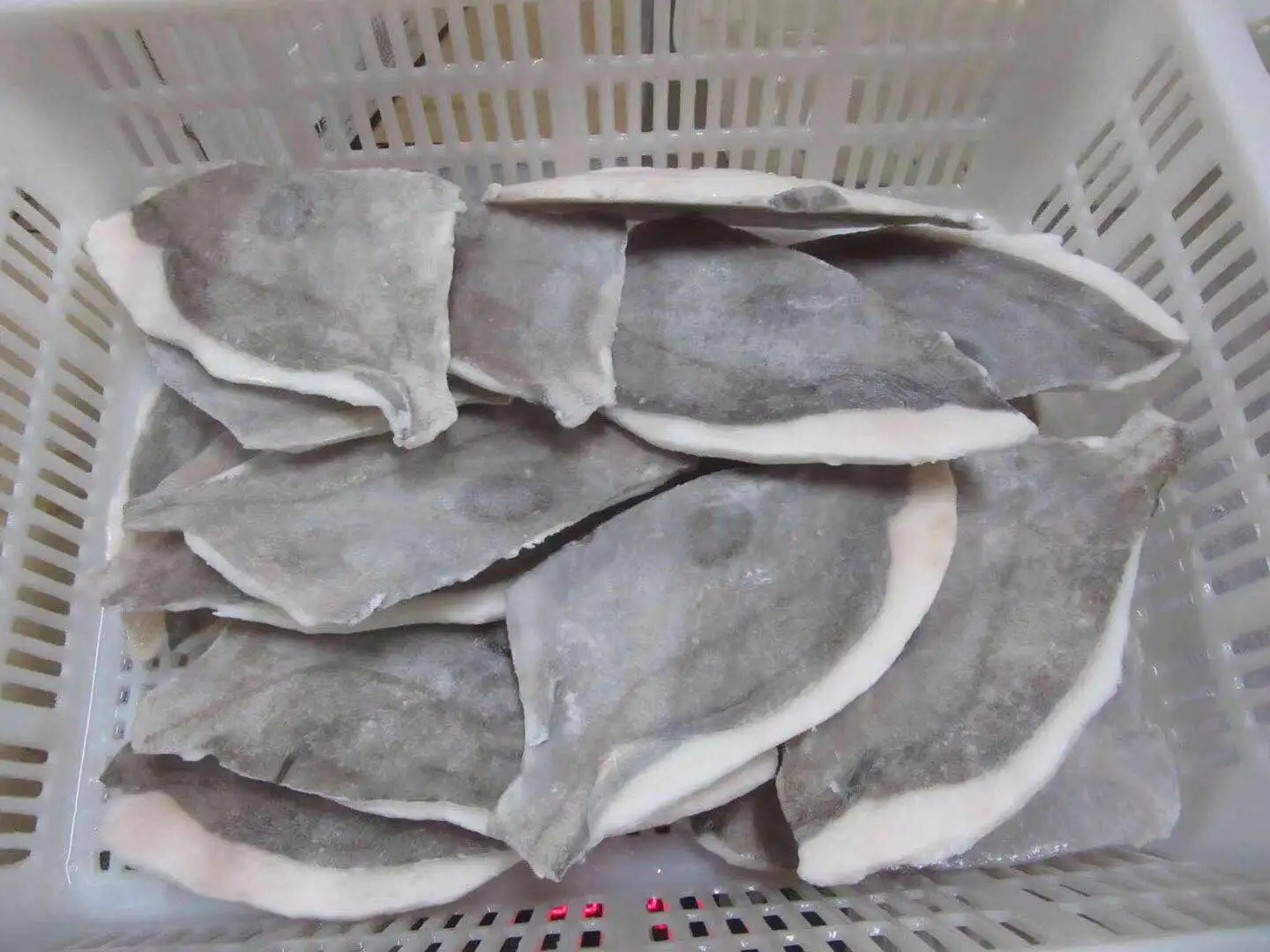 Frozen John Dory Fillet China Origin