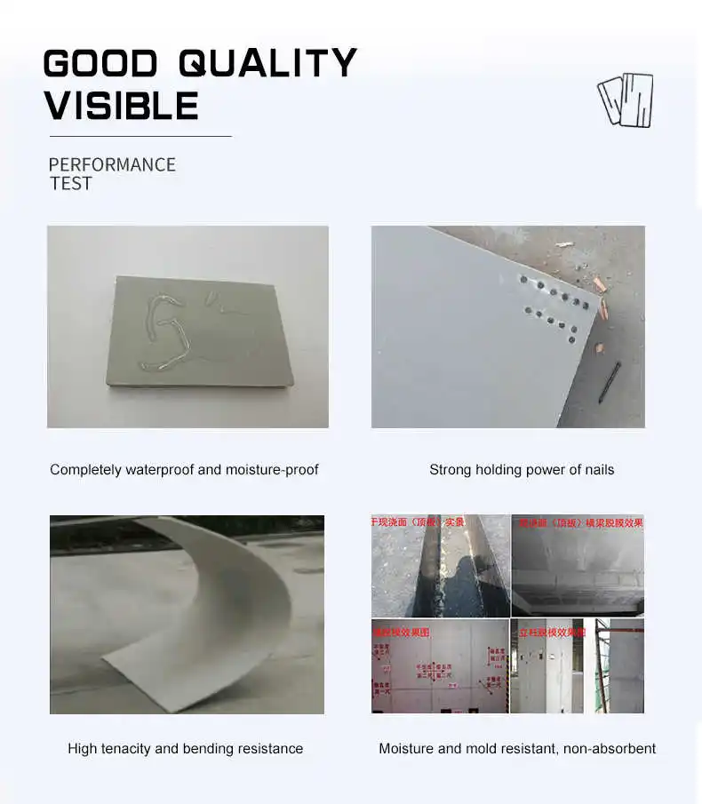 Top Quality Panel Plastic Price 18mm System Concrete Plywood Shuttering Tunnel Formwork