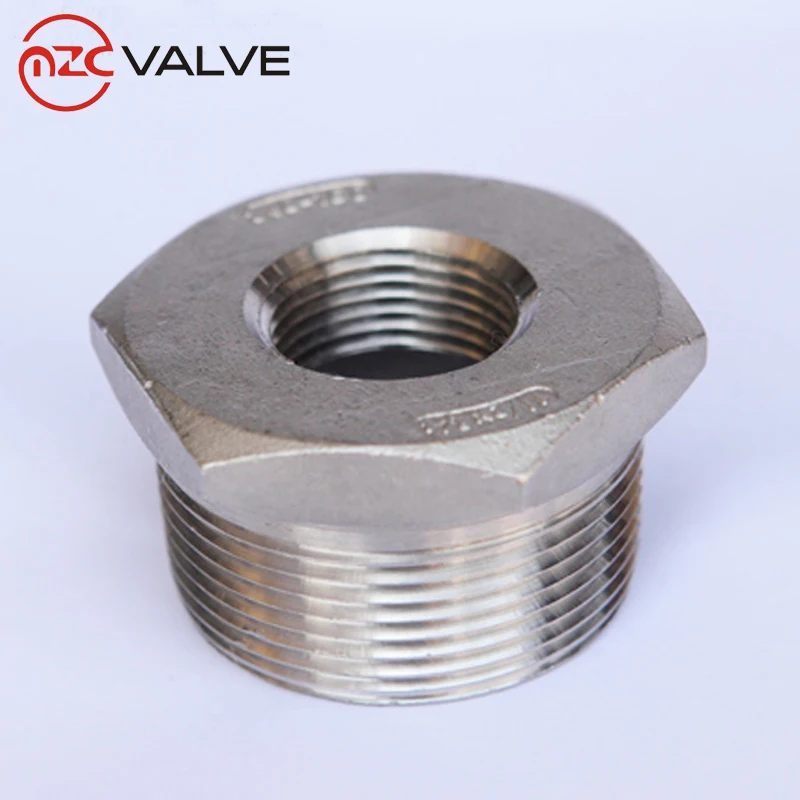 Stainless Steel 316 Pipe Fitting Hex Bushing
