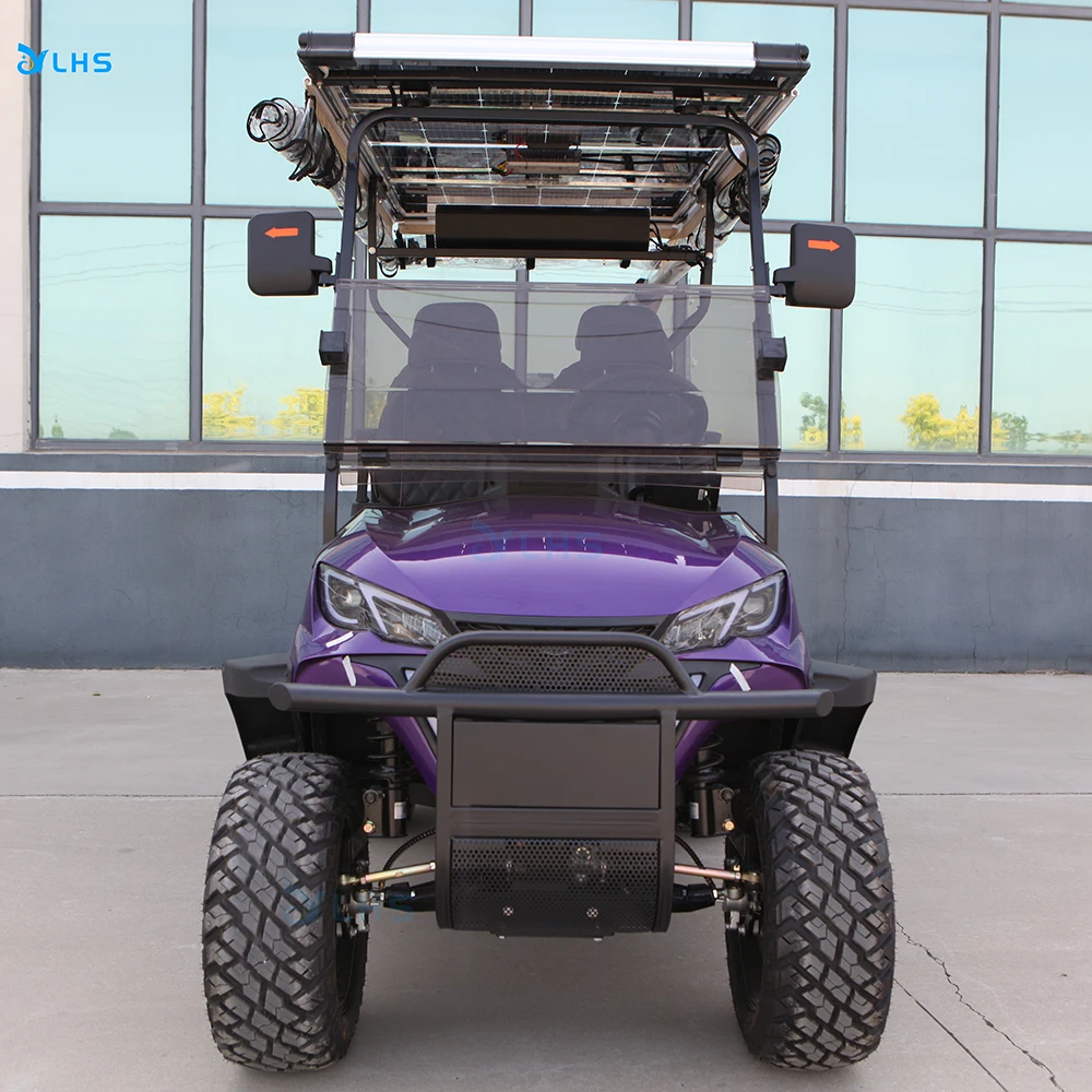 Fast selling old buggy golf car premium golf trolley electric lux electric utility golf cart with curtis controller