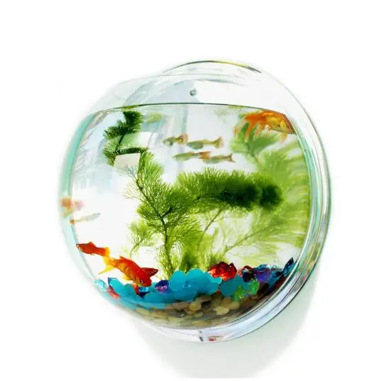 Mini Home Decor Office Decoration Transparent Acrylic Hanging Wall Aquarium