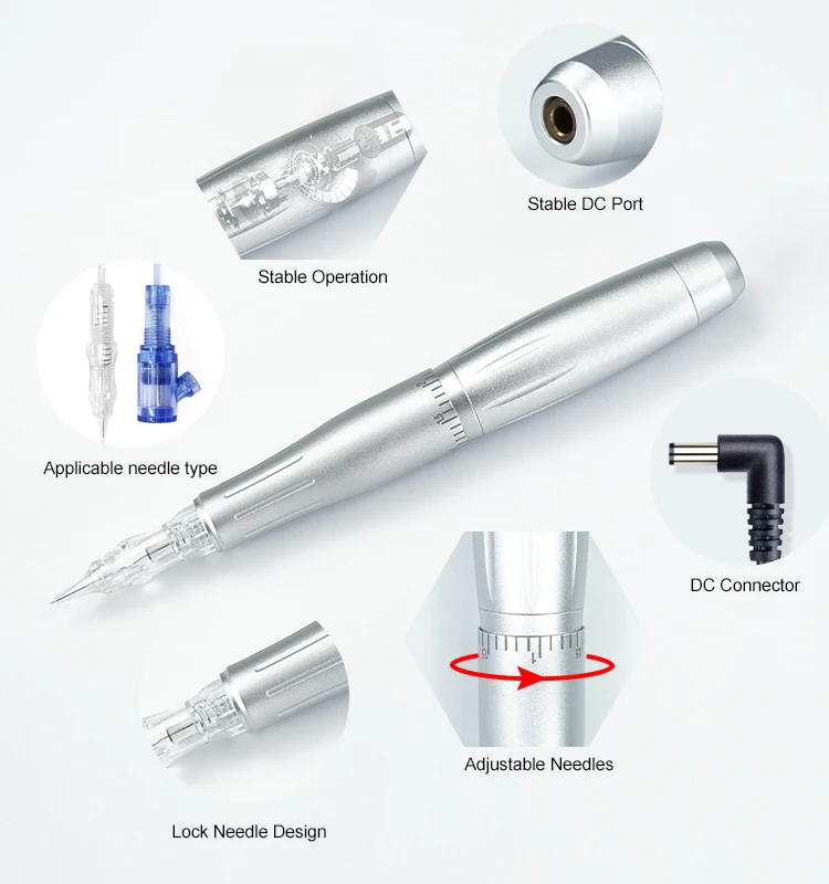 Recruit Agent Biomaser P300 Micropigmentation permanent makeup Kit Dermografo Professional Makeup Device Needles for Lip