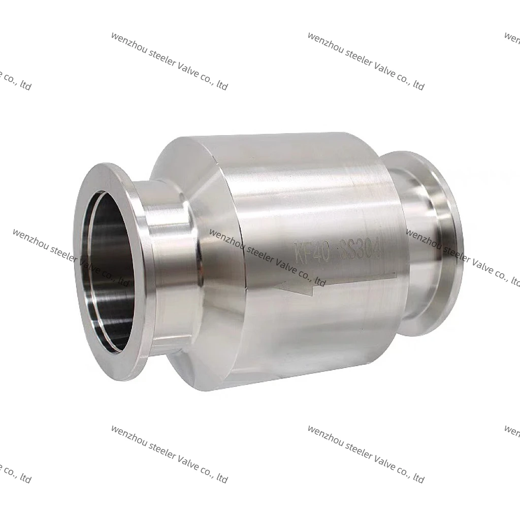 High quality Stainless steel SS304 Sanitary Vacuum integrated check valve