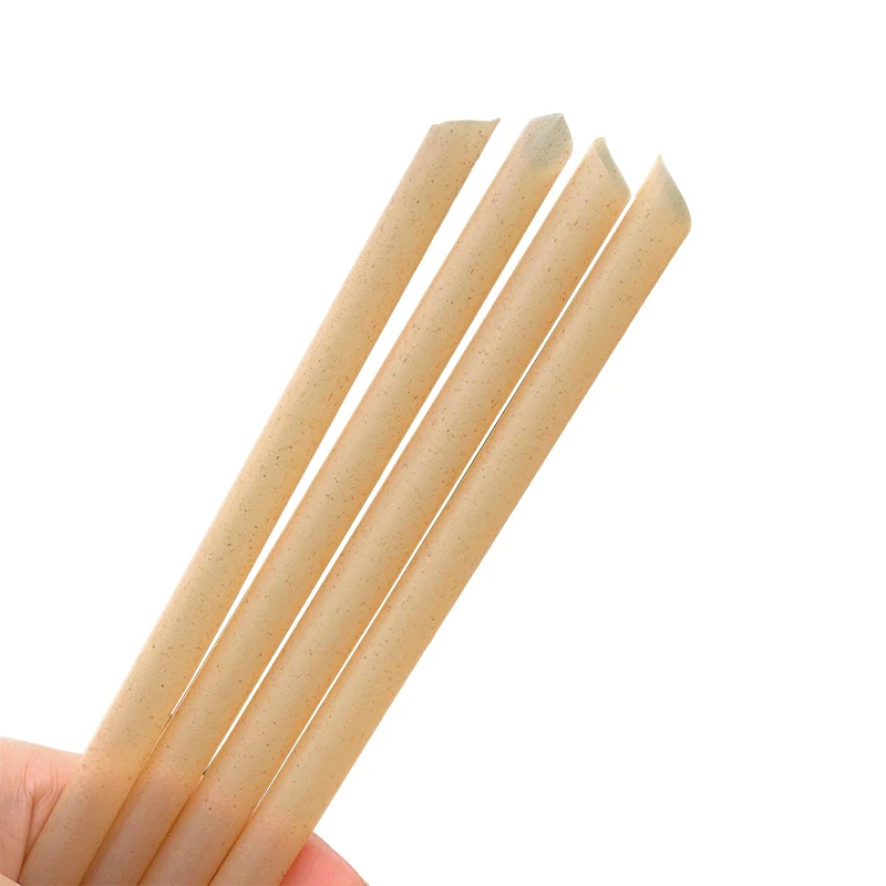 BIOSANO Premium Wholesales Bulk Individual Wrapped Milkshakes Straw Drinking Fruit Sugarcane Straws for Hot and Cold Beverages